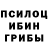 Псилоцибиновые грибы прущие грибы Nadiia Lykhenko